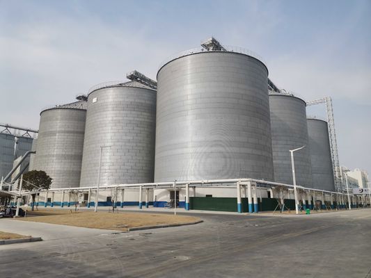 Silos de grãos de aço de projeto vertical para prevenção de umidade e eficiência espacial