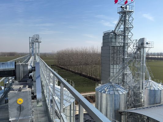 Máquina de secagem de arroz de poupança de energia com temperatura de secagem de 50 a 80 °C e gama de consumo de calor de 4500 a 6700 kJ/kg