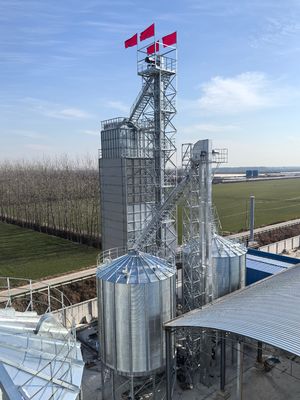 600 do arroz toneladas de máquina do secador, economia centrífuga dobro do combustível do sistema de secagem da almofada