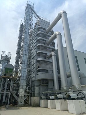 Têmpera cíclica a baixa temperatura para preservar a qualidade do grão para operações multivariedade